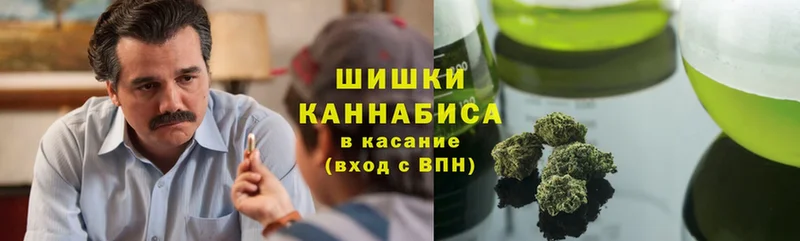 Конопля OG Kush  Куровское 