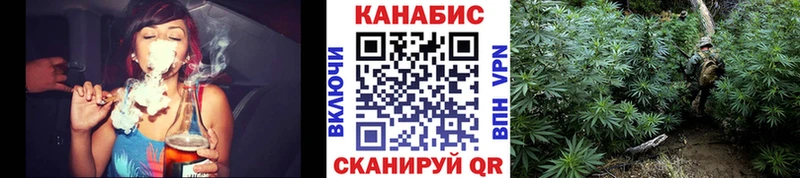 площадка состав  Куровское  Бошки марихуана Amnesia 